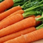 Importanta morcovilor in alimentatie si ce beneficii aduc