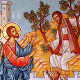 &nbsp; &nbsp; &nbsp;Duminica a 32 a după Rusalii, prin Evanghelia ce este rânduită spre citire la Sfânta Liturghie, ne pune în evidență nouă celor de azi, trăirile, sentimentele, gândurile și [&hellip;]