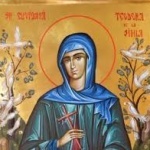Sfanta Cuvioasa Teodora de la Sihla (video)