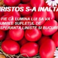    Înălţarea Domnului, marea sărbătoare creştină de astăzi, se mai numeşte în popor şi Ispas, de la cuvîntul de origine slavonă Supasu, care înseamnă Mîntuitorul, ea fiind sărbătorită întotdeauna la [&hellip;]