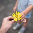        În bunătate găsim blândeţea. Omul bun este blând, adică are sufletul catifelat. Cine se apropie de un om blând simte o plăcută senzaţie de căldură şi mângâiere, [&hellip;]
